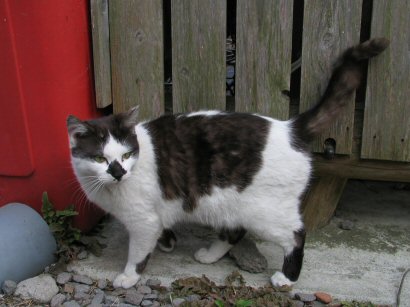 ����Ȏ����D���Ȃ̂��~�~�Ɏ��Ă���