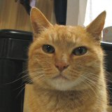 �D�����`���`���`��