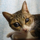 �Â���V�L�L������