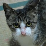 ���邤��i�i������