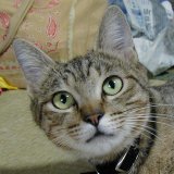 ���]�h����������